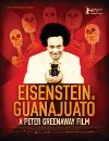 Eisenstein in Guanajuato Que viva Eisenstein! Эйзенштейн в Гуанахуато